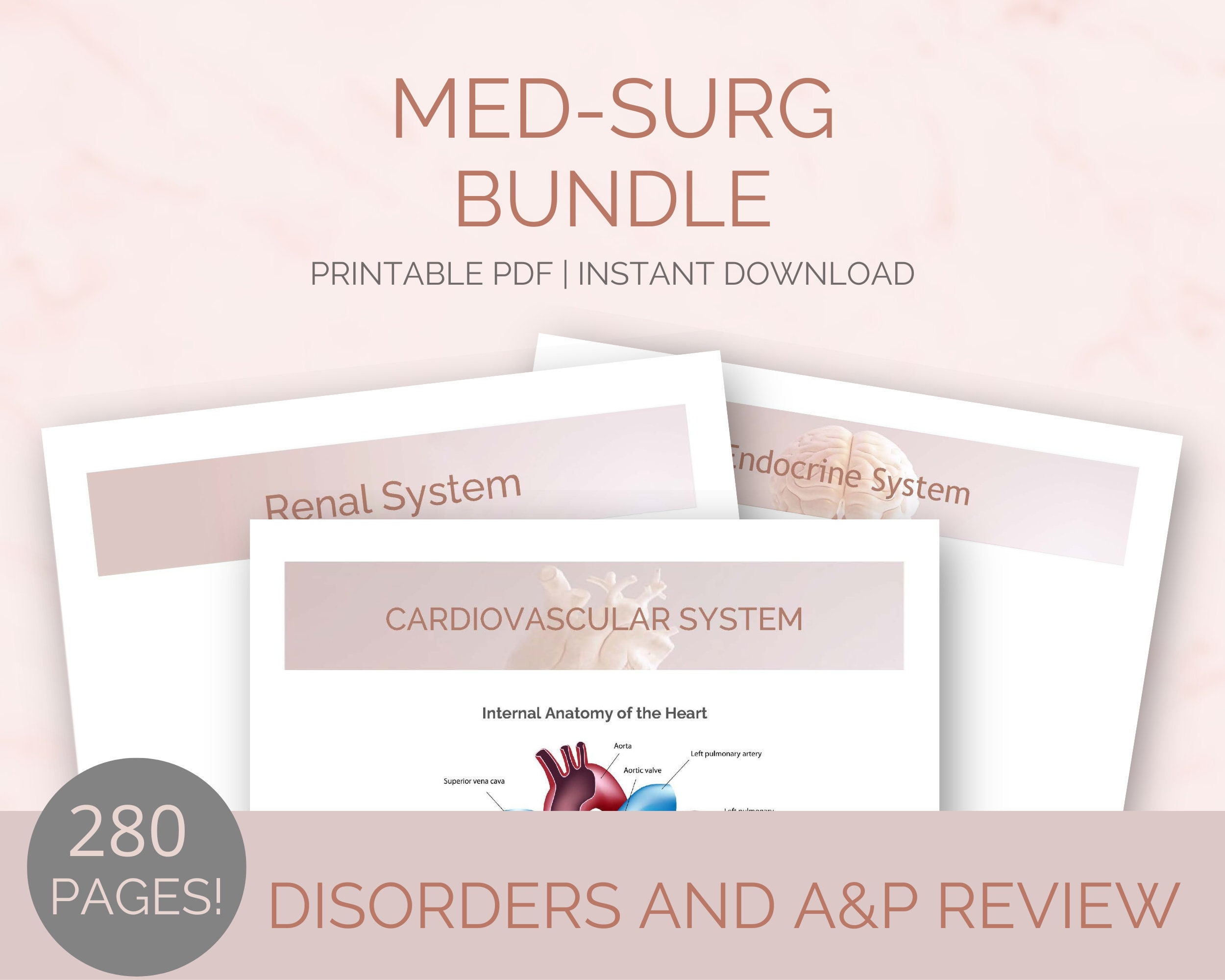 Whole Shop Bundle Nursing Notes Study Guides | Med Surg Bundle, DVT ...
