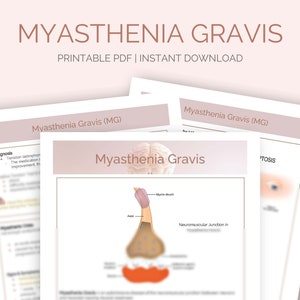 Myasthenia Gravis | Nursing Study Notes | Student Study Guide | Med Surg | Neurologic Disorder | Digital Download | Digital File | PDF