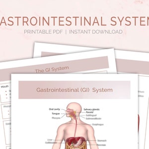 May include: A printable diagram of the human gastrointestinal system, also known as the GI system. The diagram shows the organs of the digestive system, including the mouth, tongue, oesophagus, stomach, small intestine, large intestine, liver, gallbladder, and pancreas. The diagram also includes labels for the salivary glands, oral cavity, and other parts of the digestive system.