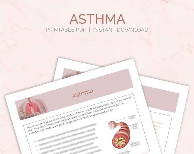 Respiratory System Nursing Notes | Student Study Guides | Auscultating ...