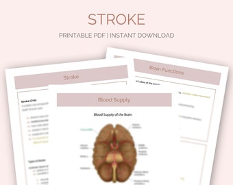 Stroke (CVA) Nursing Study Guide | Med-Surg, Neuro 7 pages (Digital PDF)