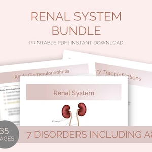 Renal / Urinary System Bundle Study Guide Nursing Notes | UTI | Calculi | Acute Kidney Injury | CKD | Dialysis | BPH | Med Surg