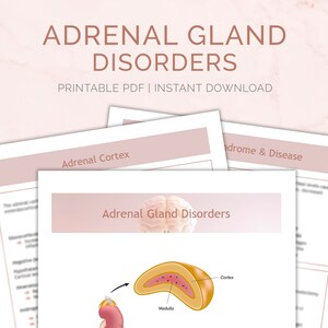 May include: Printable PDF document titled "Adrenal Gland Disorders". The document includes a diagram of the adrenal gland with labels for the cortex and medulla.