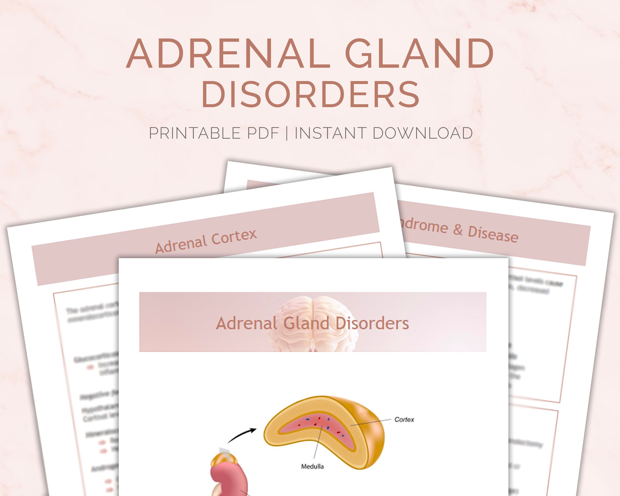 Cushing Syndrome Pathophysiology Calgary Guide