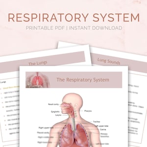Respiratory System Nursing Notes | Student Study Guides | Auscultating Lung Sounds | Gas Exchange |  A & P | Med Surg | Digital Download