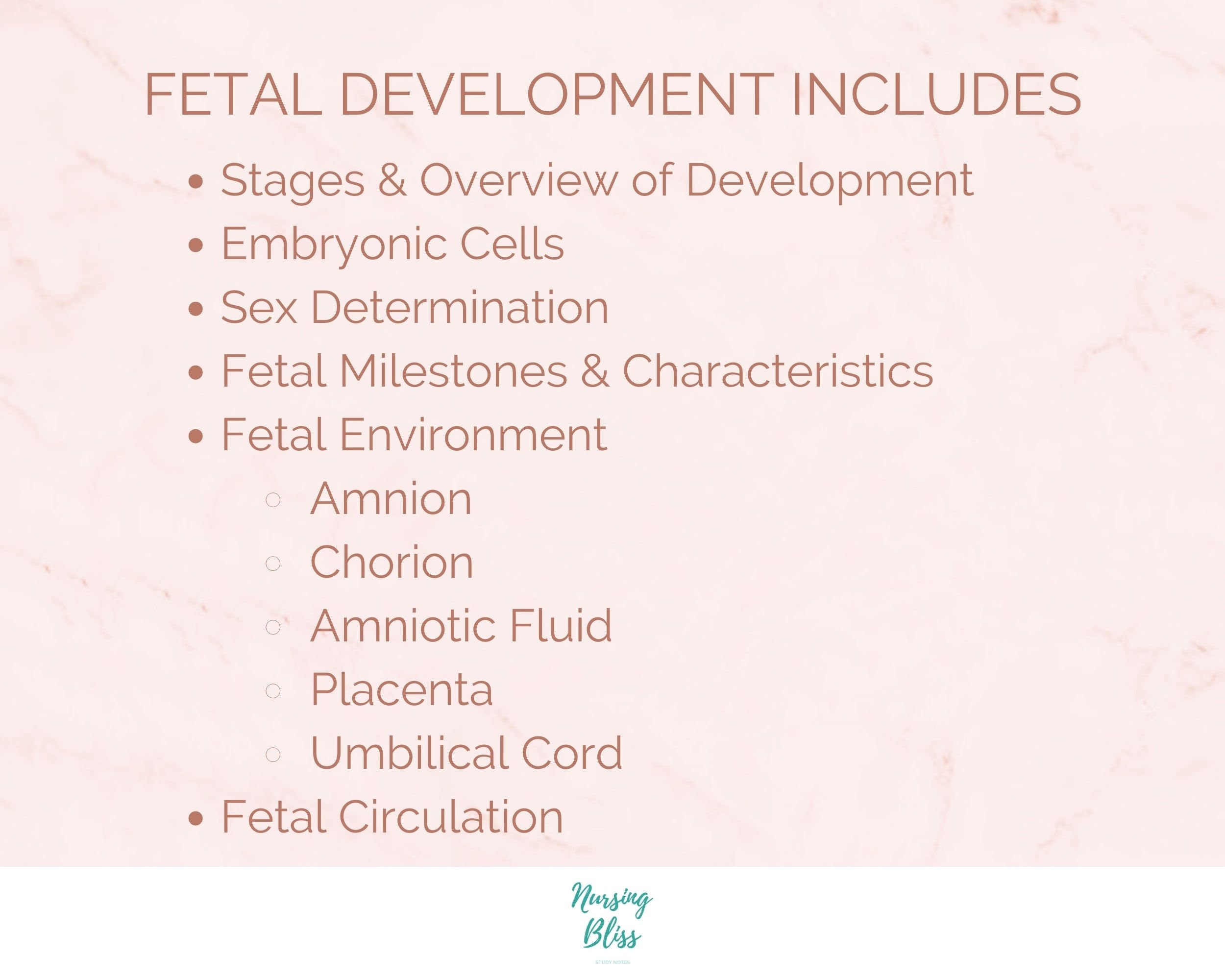 Fetal Development | OB Maternity Nursing Notes | Study Guide ...