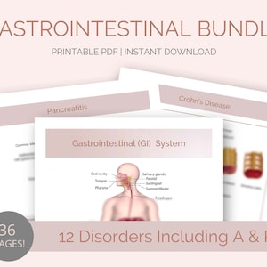 GI Disorders Bundle Nursing Notes | Student Study Guides | Digestive System | for Med Surg | 36 Page Digital Download