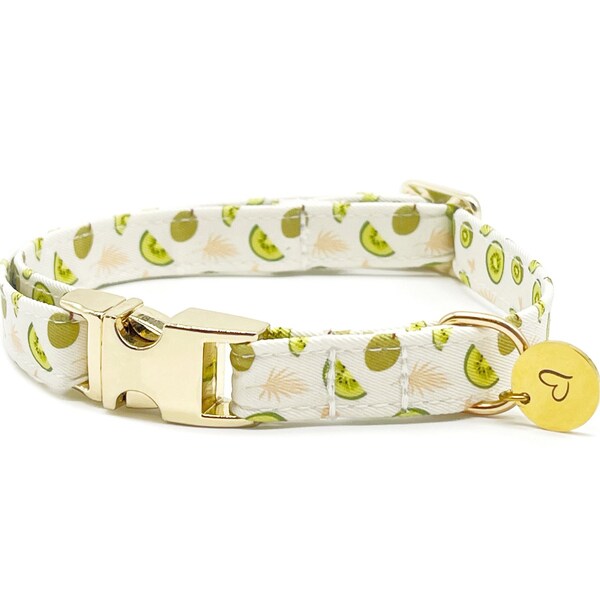 Mango Dog Collar Etsy