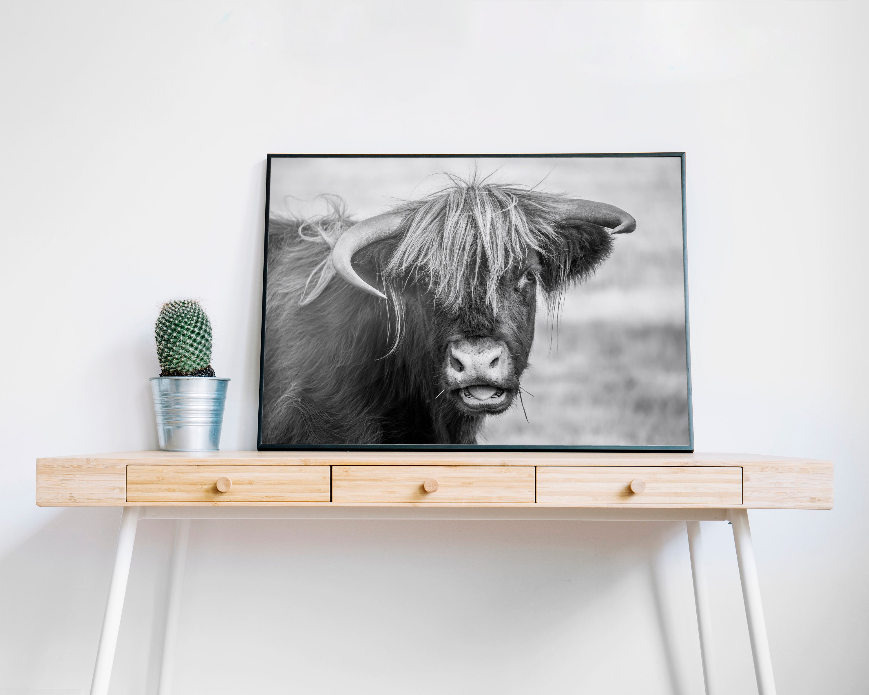 Black and white highland cow print Etsy