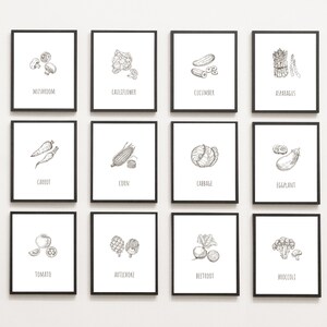 Set of  20 Realistic Hand Drawn Vegetables Prints - Botanical Art -Kitchen Printable - Digital Download Wall art - Coloring Book