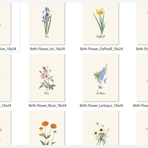 12 Birth Flowers Print - Botanical Watercolor - Vintage Plants - Farmhouse Decor- Digital Print Wall Art