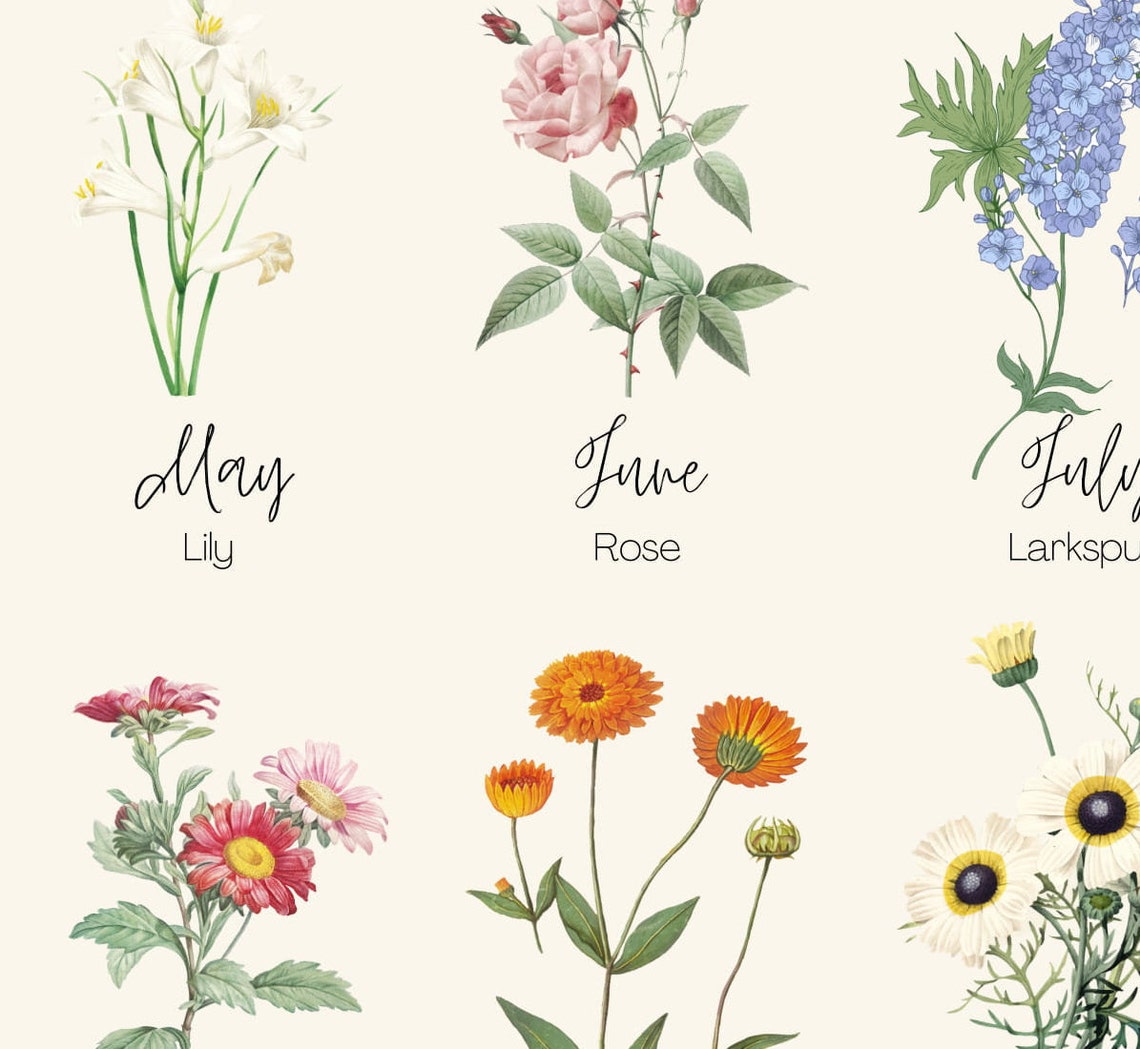 Birth Flower Print Botanical Watercolor Vintage Plants by - Etsy UK