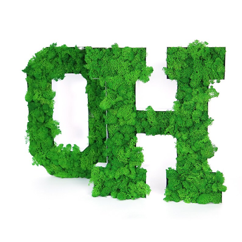 May include: Two large green moss letters spelling "OH" against a white background.