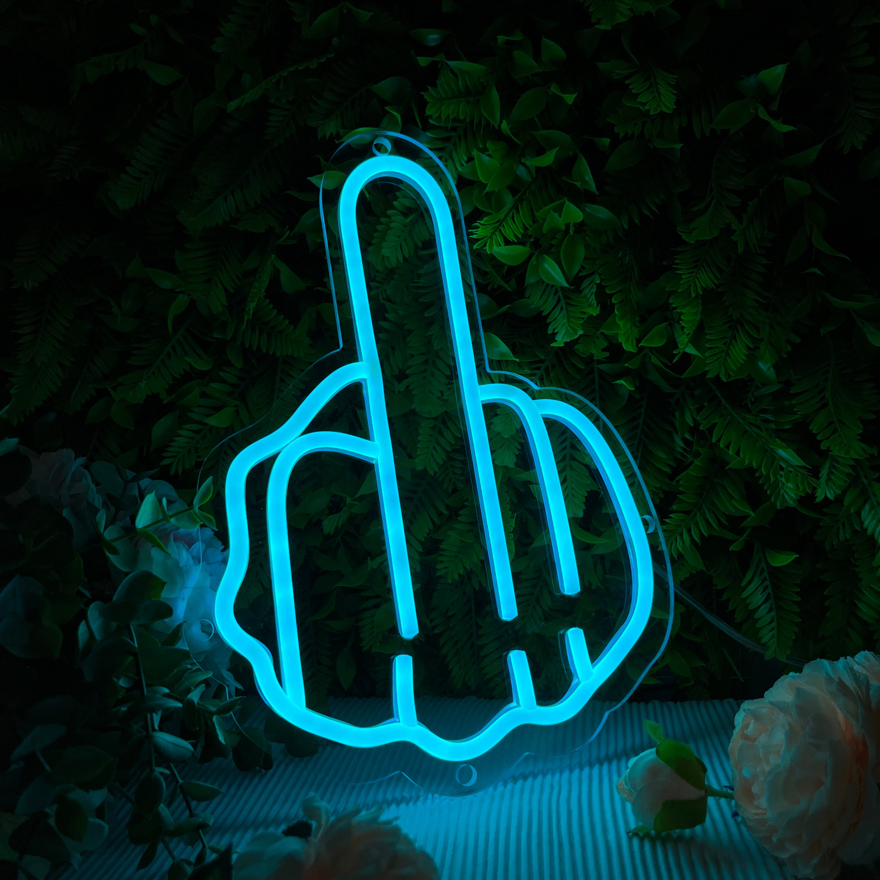 Middle Finger Neon 