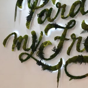 May include: A white wall with the words "Paradise my Friend" spelled out in green moss. The letters are outlined in white and have small lights behind them.