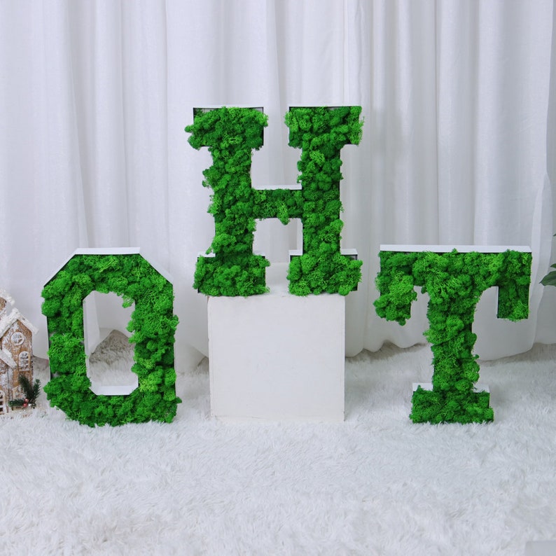 May include: Three large letters, H, O, and T, are made of green moss and white frames. The letters are sitting on a white surface.