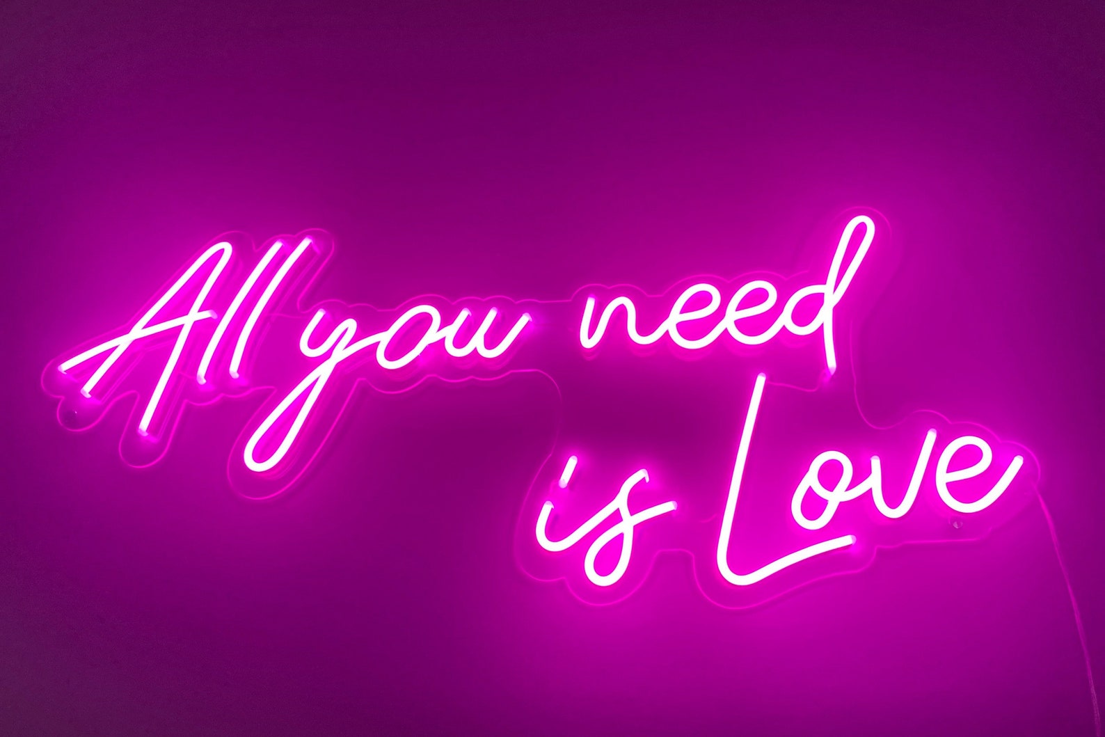 All You Need is Love Neon Sign custom Wedding Neon Signflex Etsy