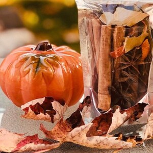 May include: A clear plastic bag filled with a variety of spices and ingredients, including cinnamon sticks, star anise, and orange peel. The bag is sitting on a table with a small orange pumpkin and autumn leaves.