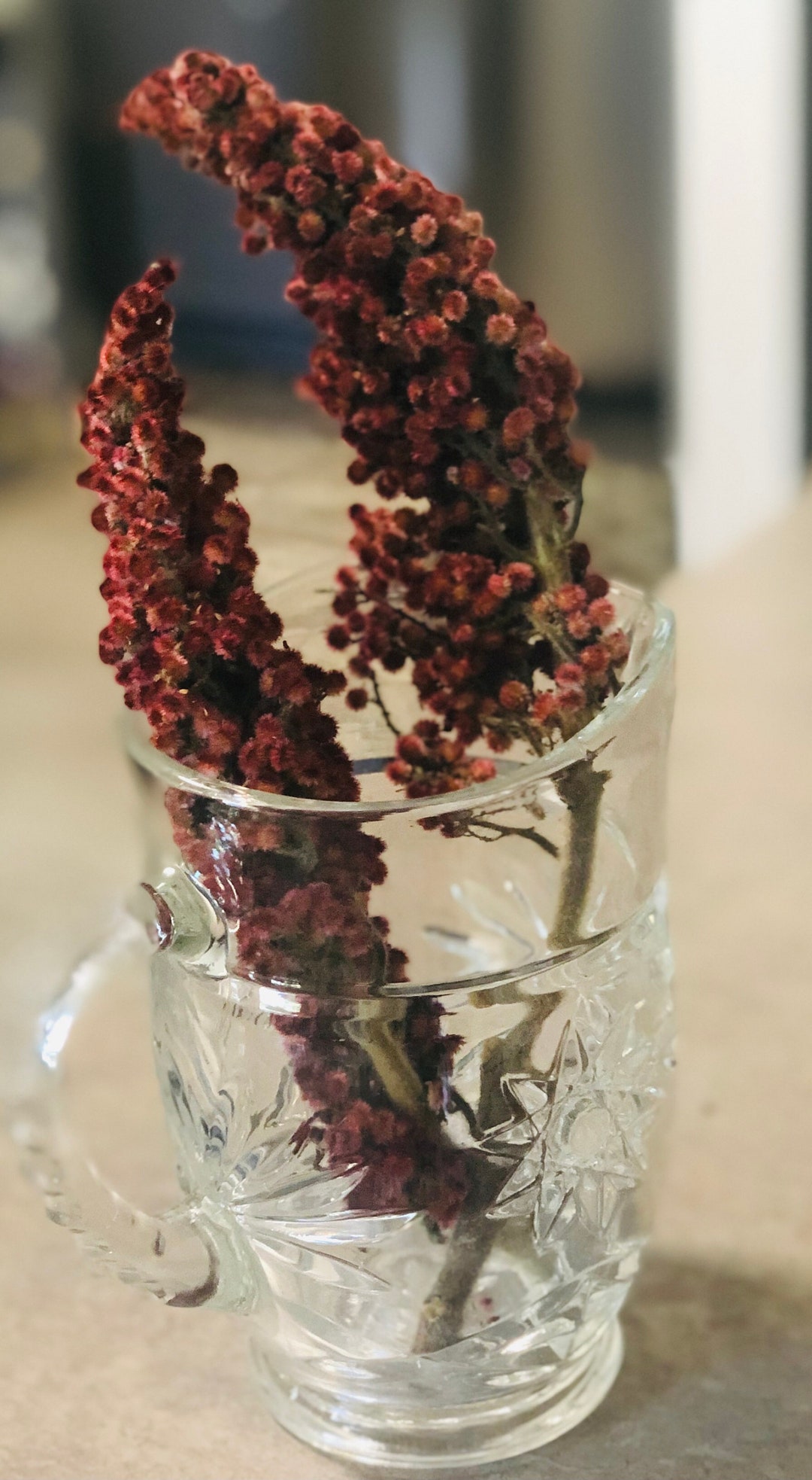 Staghorn Sumac Berry Bunch Etsy