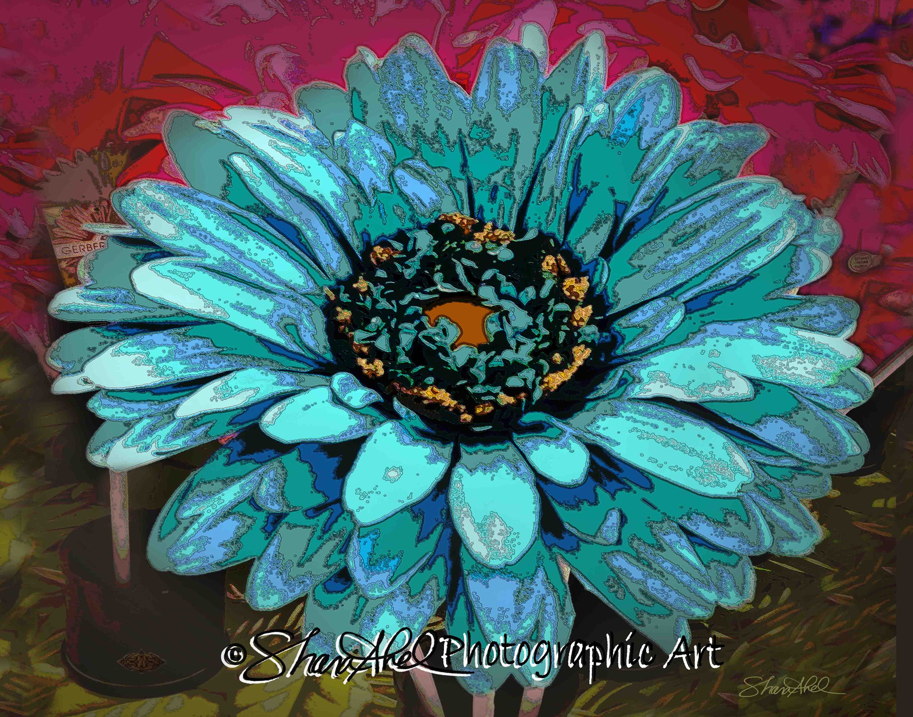 Gerber Daisy Art Print By Shara Abel Etsy
