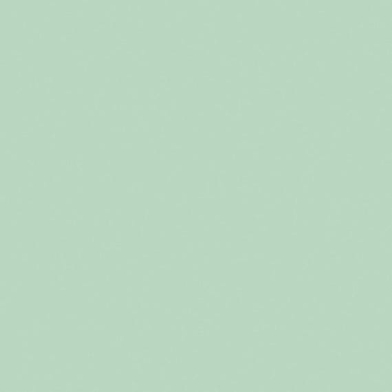 Confetti Cotton™ Sage - Quilters Fabric - By Riely Blake - By The Half Yard SKU: C120-SAGE