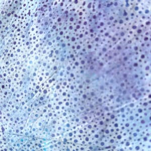 Hyacinth/PurpleBlue Polka Dots - Hoffman California 1986 Watercolor Batik - by the Half Yard - 885-120