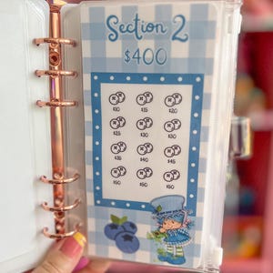 May include: A clear binder with rose gold hardware holds a blue and white gingham patterned insert. The insert reads "Section 2 $400" with amounts from $10 to $50. A cartoon character and blueberries are also featured.