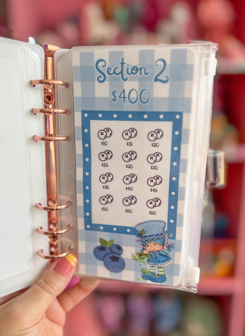 May include: A clear binder with rose gold hardware holds a blue and white gingham patterned insert. The insert reads "Section 2 $400" with amounts from $10 to $50. A cartoon character and blueberries are also featured.