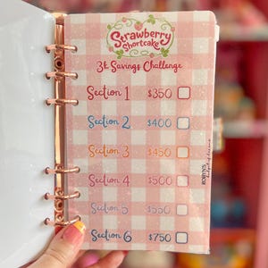 May include: A pink and white gingham savings challenge sheet with the Strawberry Shortcake logo. The sheet is divided into sections with amounts ranging from $350 to $750. The sheet is held in a rose gold binder.