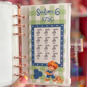 May include: A clear binder with a rose gold spine and a savings tracker insert. The insert features a green and white gingham pattern, the text "Section 6 $750", and illustrations of cherries and a cartoon character.