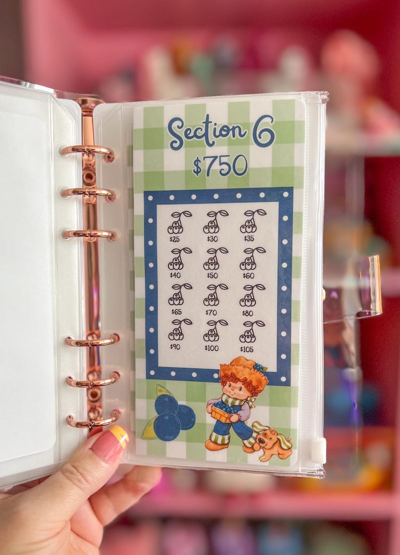 May include: A clear binder with a rose gold spine and a savings tracker insert. The insert features a green and white gingham pattern, the text "Section 6 $750", and illustrations of cherries and a cartoon character.