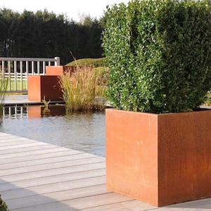 Può includere: Un grande vaso quadrato di colore ruggine con un cespuglio verde che cresce al suo interno. Il vaso è posto su un ponte di legno accanto a uno stagno.