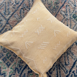 Moroccan Pillow , Area rug , Silk sabra pillows ,Sabra pillow , Moroccan handmade pillows , pillows , berber pillows , cactus silk pillows