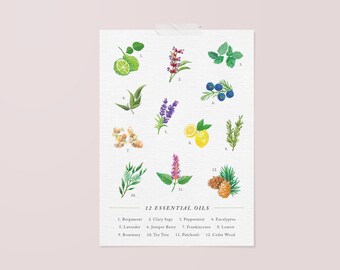 May include: A 5x7 inch art print on linen paper featuring an original illustration of 12 essential oils. The print includes watercolor illustrations of bergamot, clary sage, peppermint, eucalyptus, lavender, juniper berry, frankincense, lemon, rosemary, tea tree, patchouli, and cedar wood.
