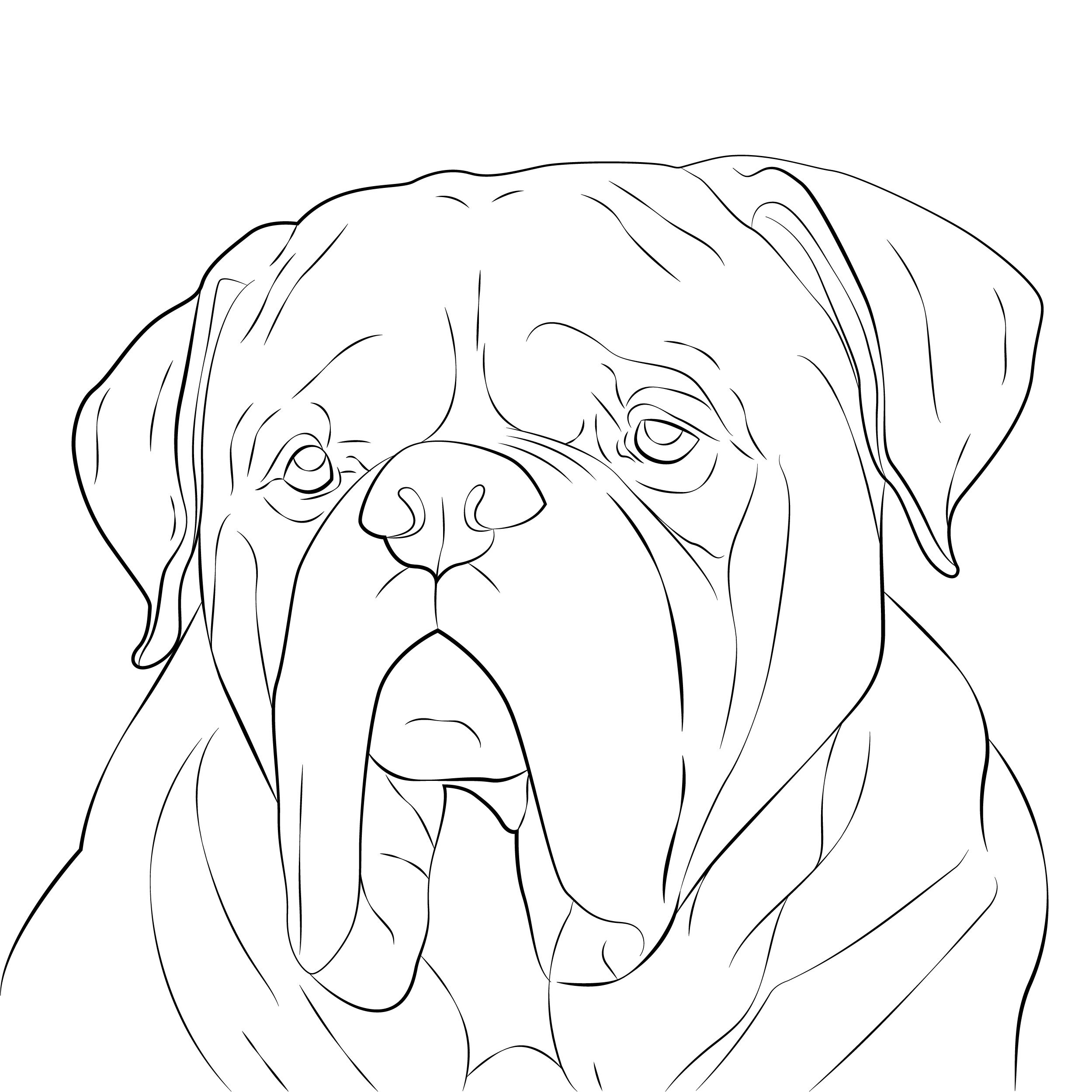 Custom linear illustration of animals line art personalised Etsy