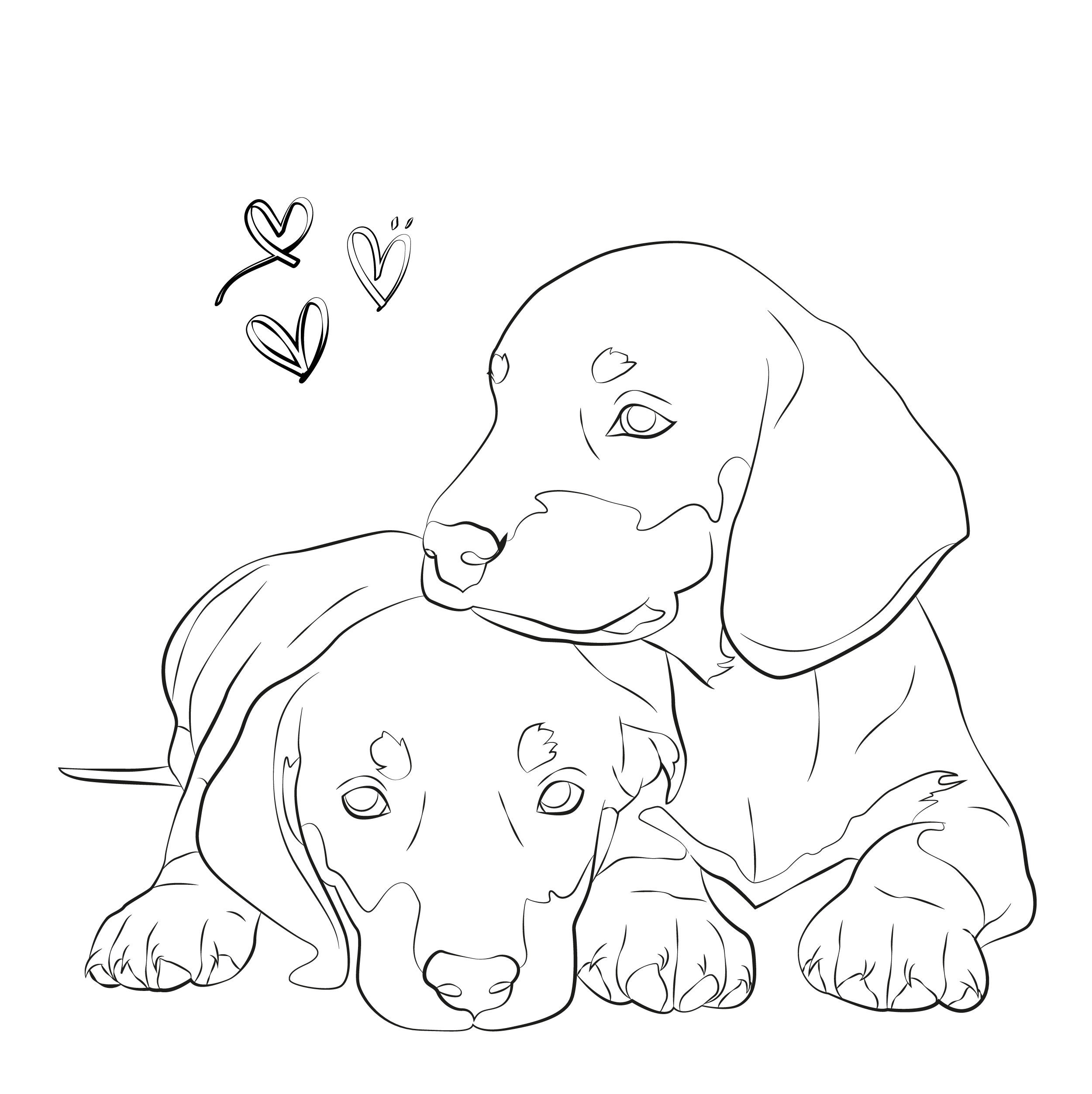 Custom linear illustration of animals line art personalised | Etsy