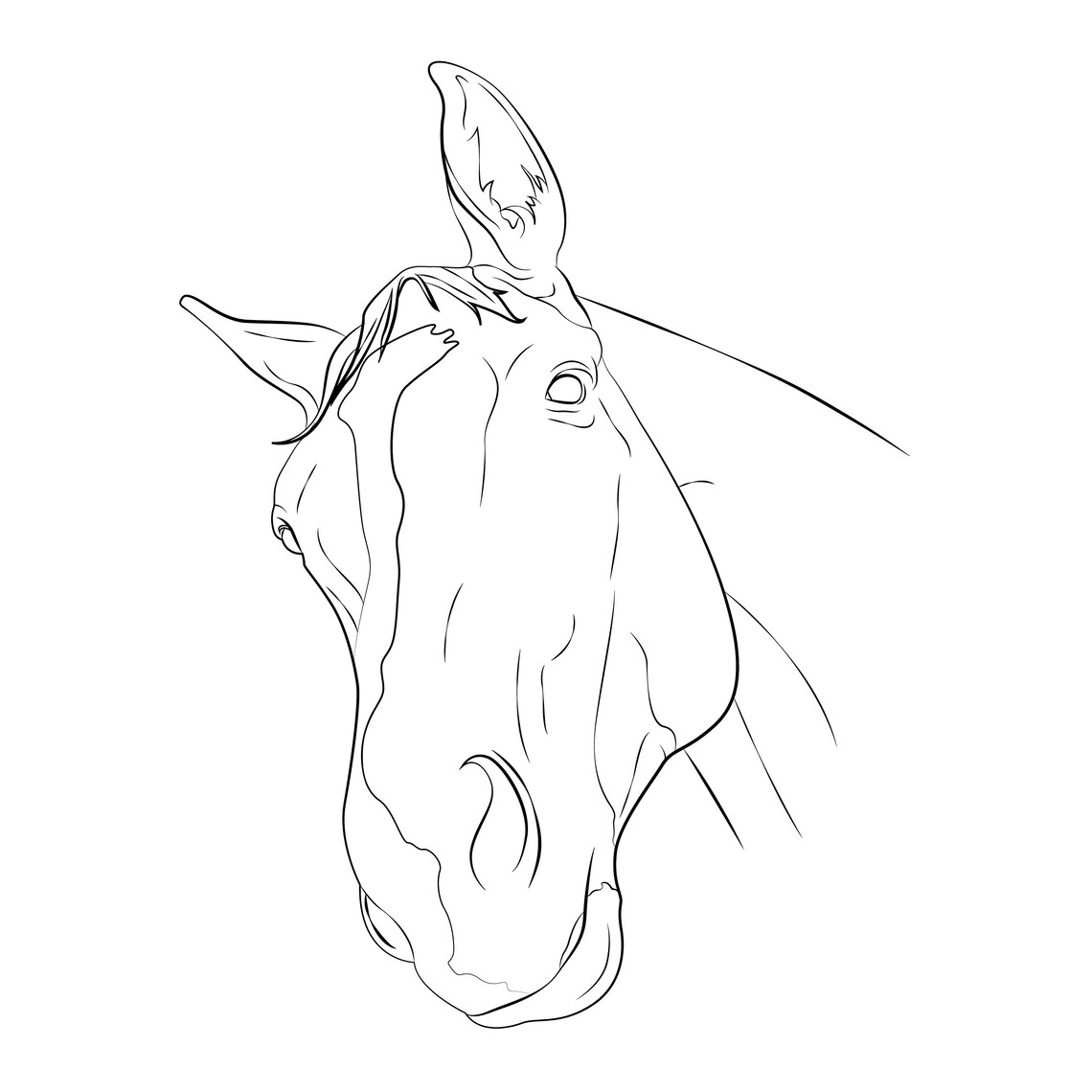 Custom linear illustration of animals line art personalised | Etsy