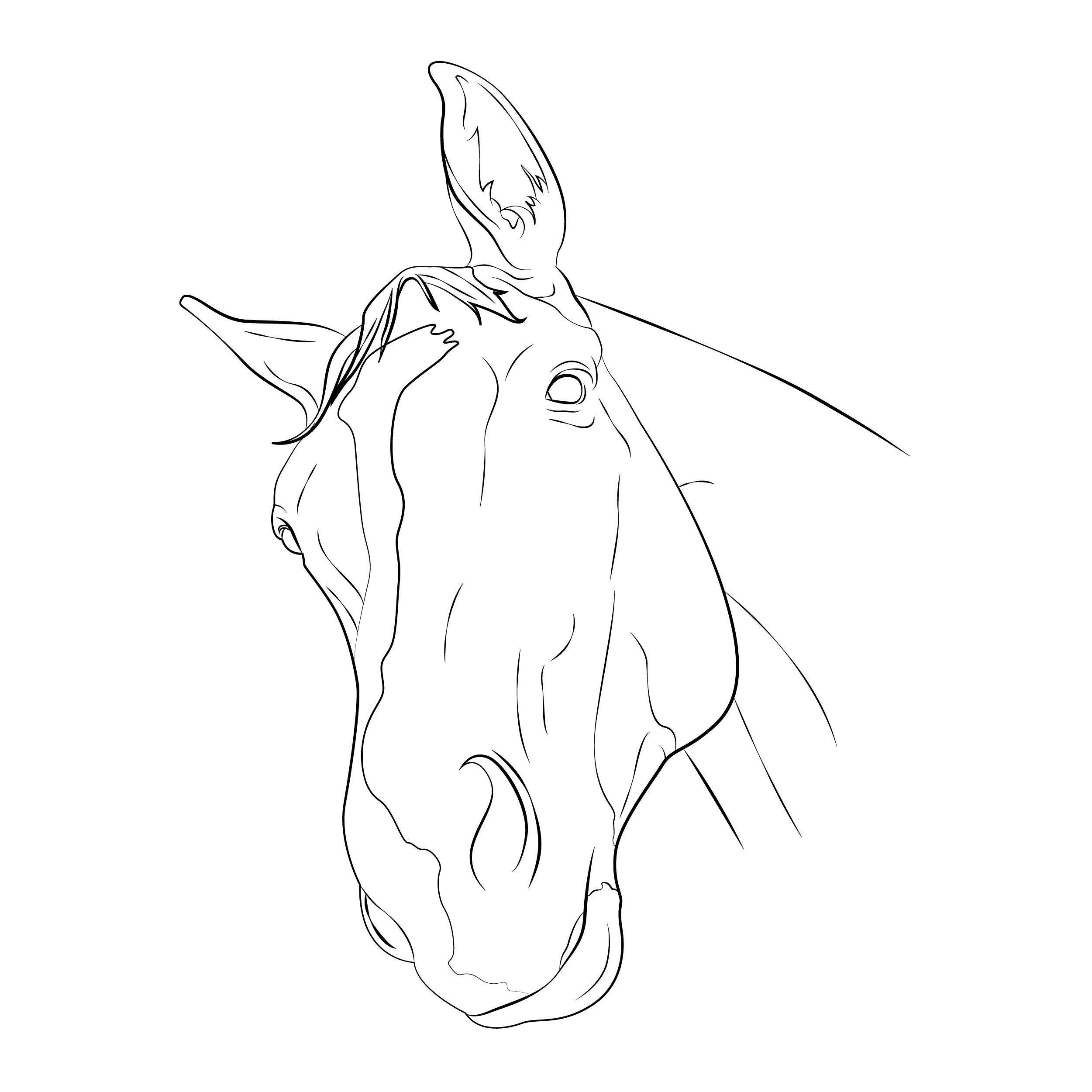 Custom linear illustration of animals line art personalised Etsy