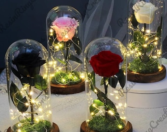 Christmas Valentine's Day NC Beauty and The Beast Rose Preserved Real Forever Rose Eternal Rose in Glass Dome Gift for Her,Beautiful Handmade Creative Romantic Roses Gifts for Wedding Mothers Day Christmas Valentine's Day NC Beauty and The Beast Rose Preserved Real Forever Rose Eternal Rose in Glass Dome Gift for Her,Beautiful Handmade Creative Romantic Roses Gifts for Wedding Mothers Day