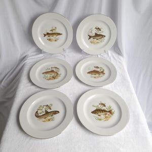 Vintage Fish Serving Plates Set, Set of 6 Fish Motif Plates – Retsch & Co. Wunsiedel Bavaria – Vintage German Porcelain