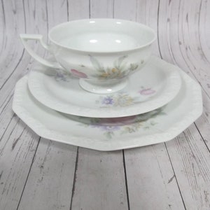 Vintage Rosenthal Maria, Classic Germany Sommerstrauss trio breakfast set, Germany porcelain, cup, saucer and plate set (E)