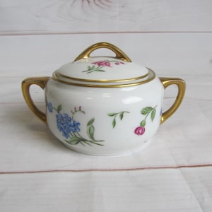 Vintage KPM Berlin porcelain sugar bowl with hand-painted flowers, Germany