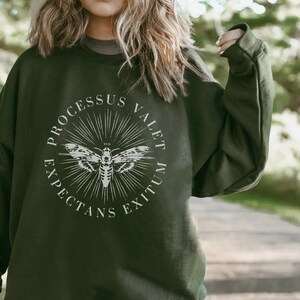 Das Ergebnis ist den Prozess wert Lateinische Motte Pullover Grünes Academia Sweatshirt Dunkelgrünes Goblincore Sweatshirt Death Moth Pullover
