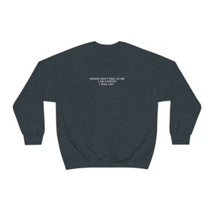 Pisces Shirt Please Don't Yell At Me I Will Cry Pisces Gift Big Pisces Energy Sweatshirt Pisces Gifts Good Energy Birth Month Sweatshirt image 6
