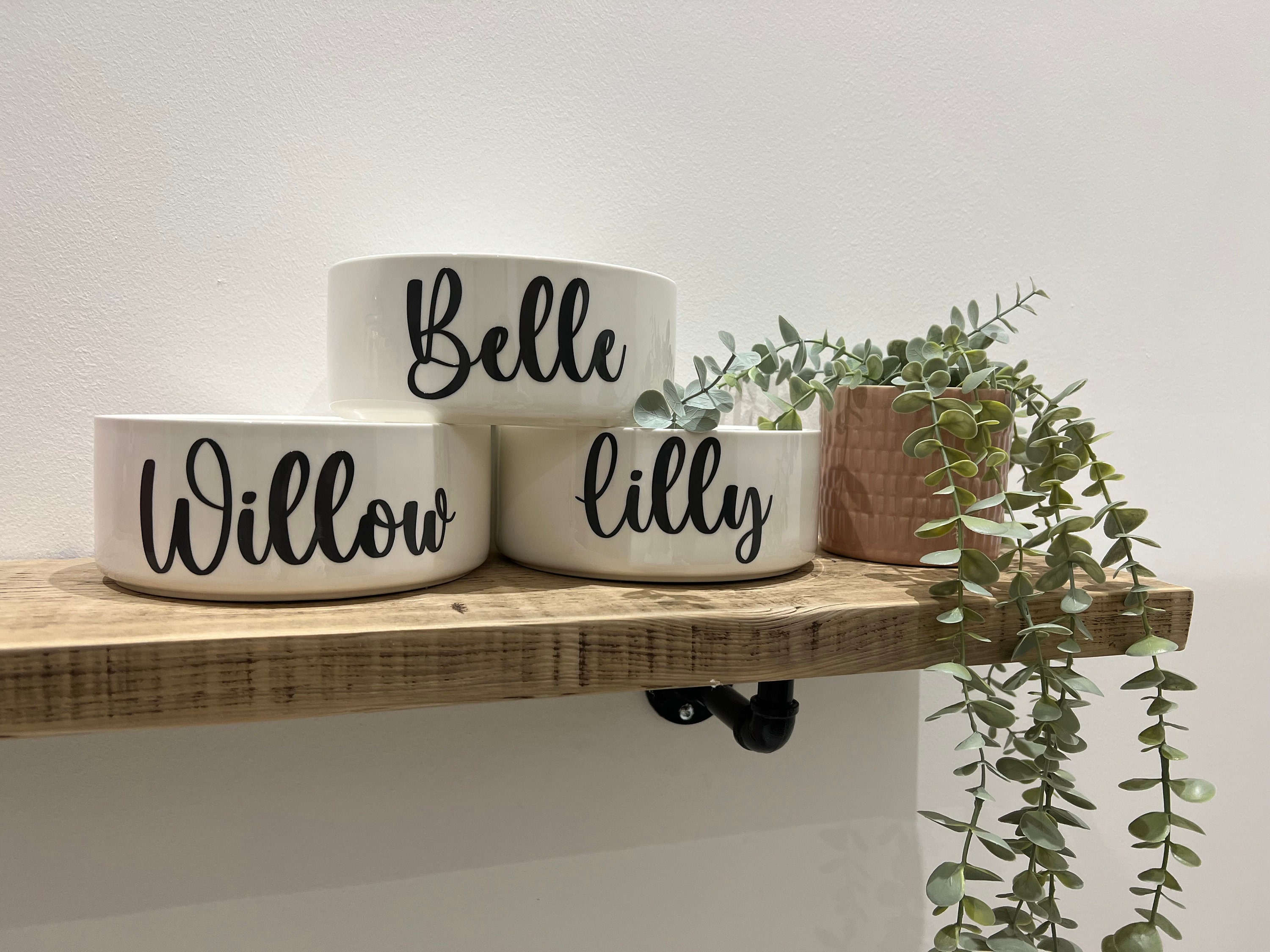Rae dunn dog bowl sizes discount