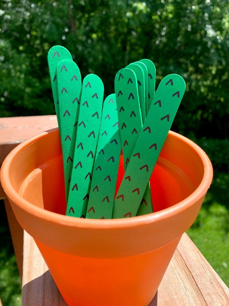 Cactus Sticks Cactus Classroom Popsicle Sticks Teacher Pick Etsy