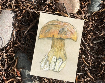 King Bolete Mushroom Study - Watercolor Print
