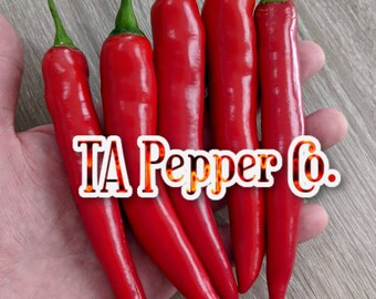 100+ Gochu Pepper Seeds -TAPepperCom- Gochugaru -Padded envelope shipping, tracking number included.