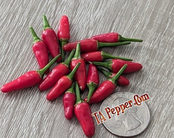 15+ Dwarf Thai Pepper Seeds -TAPepperCom-Padded envelope shipping, tracking number included.