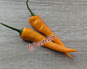 20+ Orange Cayenne Pepper Seeds -TAPepperCom- Padded envelope shipping, tracking number included.